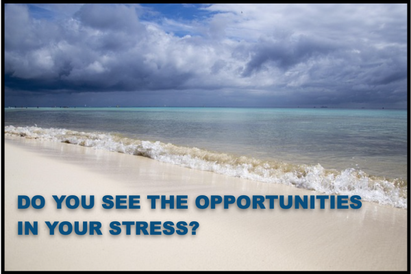 Do You See the Opportunities in Your Stress?