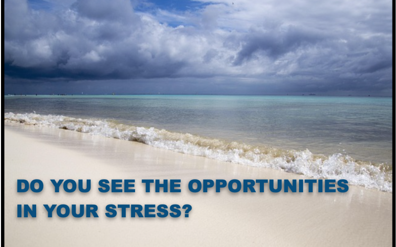 Do You See the Opportunities in Your Stress?